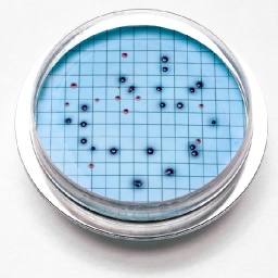 M-COLIBLUE24 AGAR PLATE, PK/15  Shelf Life 9 months أجار