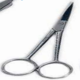 DISSECTING SCISSORS