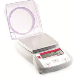 BALANCE TRAVELLER 300G X 0.01G